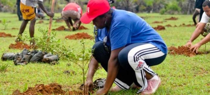 Le Togo s’apprête à observer le 1er juin prochain la Journée de l’arbre. L’initiative prise depuis 1977 par le gouvernement vise à inciter chaque citoyen à contribuer à la protection de l’environnement en mettant en terre au moins un plant ce jour