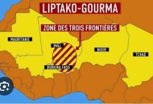 Les armées du Niger, du Mali, du Burkina Faso, du Tchad et du Togo ont entamé le 20 mai dernier dans l’Ouest du Niger un exercice militaire d’envergure