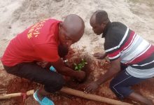 La journée nationale de l’arbre a été observée samedi dernier, marquant ainsi le début de la campagne nationale de reboisement. Les fils et filles de Gati Agodou dans la préfecture de Zio (50 km au Nord-Est de Lomé) ne sont pas restés en marge de l’évènement