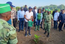 Il est observé samedi au Togo la Journée de l’arbre, marquant ainsi le lancement de la campagne nationale de reboisement. Kodjo Adedze, le ministre d’Etat, chargé de l’urbanisme, de l’habitat et de la réforme foncière n’a pas laissé l’occasion passée