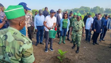 Il est observé samedi au Togo la Journée de l’arbre, marquant ainsi le lancement de la campagne nationale de reboisement. Kodjo Adedze, le ministre d’Etat, chargé de l’urbanisme, de l’habitat et de la réforme foncière n’a pas laissé l’occasion passée