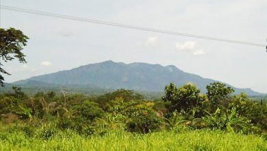 Le Togo est un petit pays d'Afrique de l'Ouest aux atouts géographiques immenses. Il s'ouvre sur l'océan Atlantique au Sud. Mais encore, dans la région des Plateaux, le mont Agou fait beaucoup l'objet de curiosité.