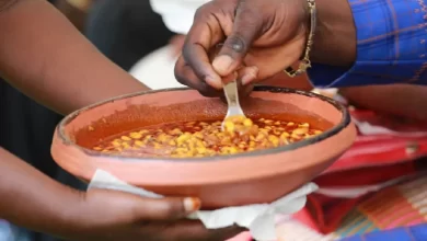 Le Conseil supérieur des chefs traditionnels de Zio annonce l’organisation de la 52è édition d'Ayiza du 1er au 11 août prochains