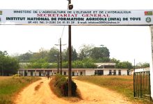 Le gouvernement togolais a lancé mercredi un concours d'entrée à l'Institut national de formation agricole (INFA) de Tové.