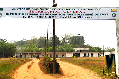 Le gouvernement togolais a lancé mercredi un concours d'entrée à l'Institut national de formation agricole (INFA) de Tové.