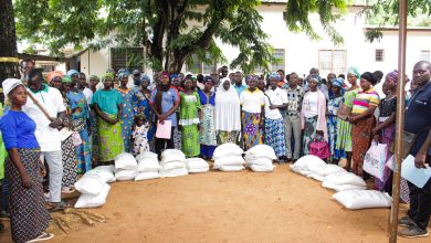 Une campagne de distribution de semences certifiées et d’engrais a démarré vendredi dernier dans les régions de la Kara, Centrale, Plateaux-Est et Maritime à l’endroit de 28 362 producteurs agricoles