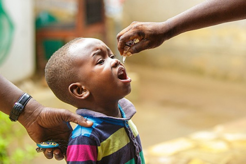 Le ministère de la santé a démarré mardi sur toute l’étendue du territoire togolais le territoire le premier tour de la campagne annuelle de traitement de masse contre l'onchocercose, la bilharziose et les vers intestinaux. Organisée avec l’appui des partenaires (OMS et USAID), cette campagne s'achève le 17 août prochain.